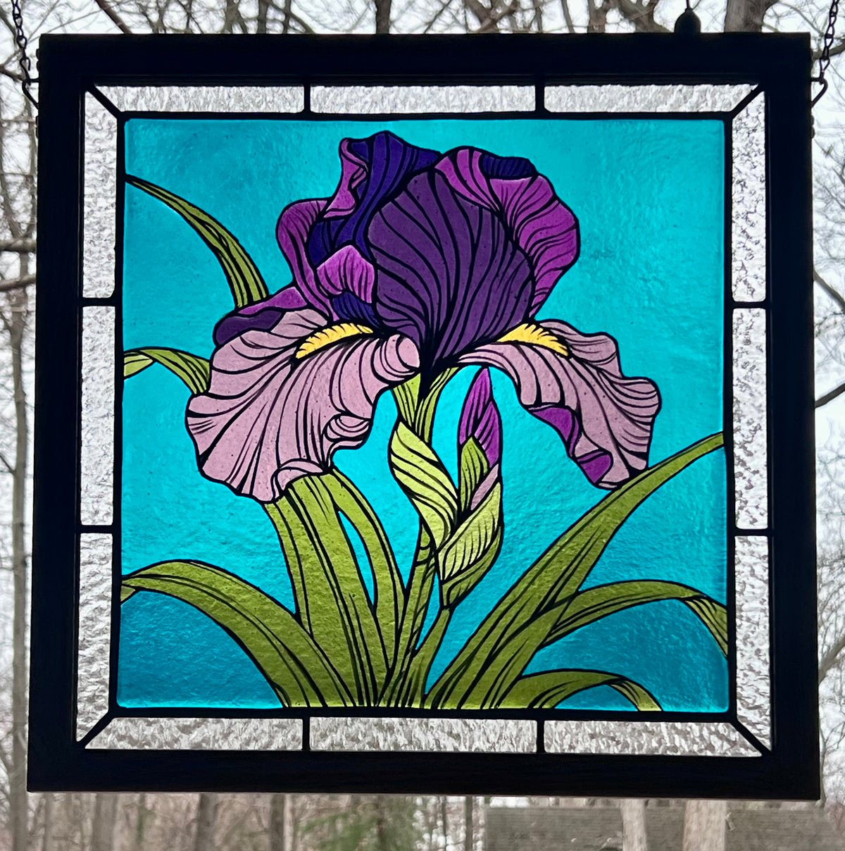 Iris