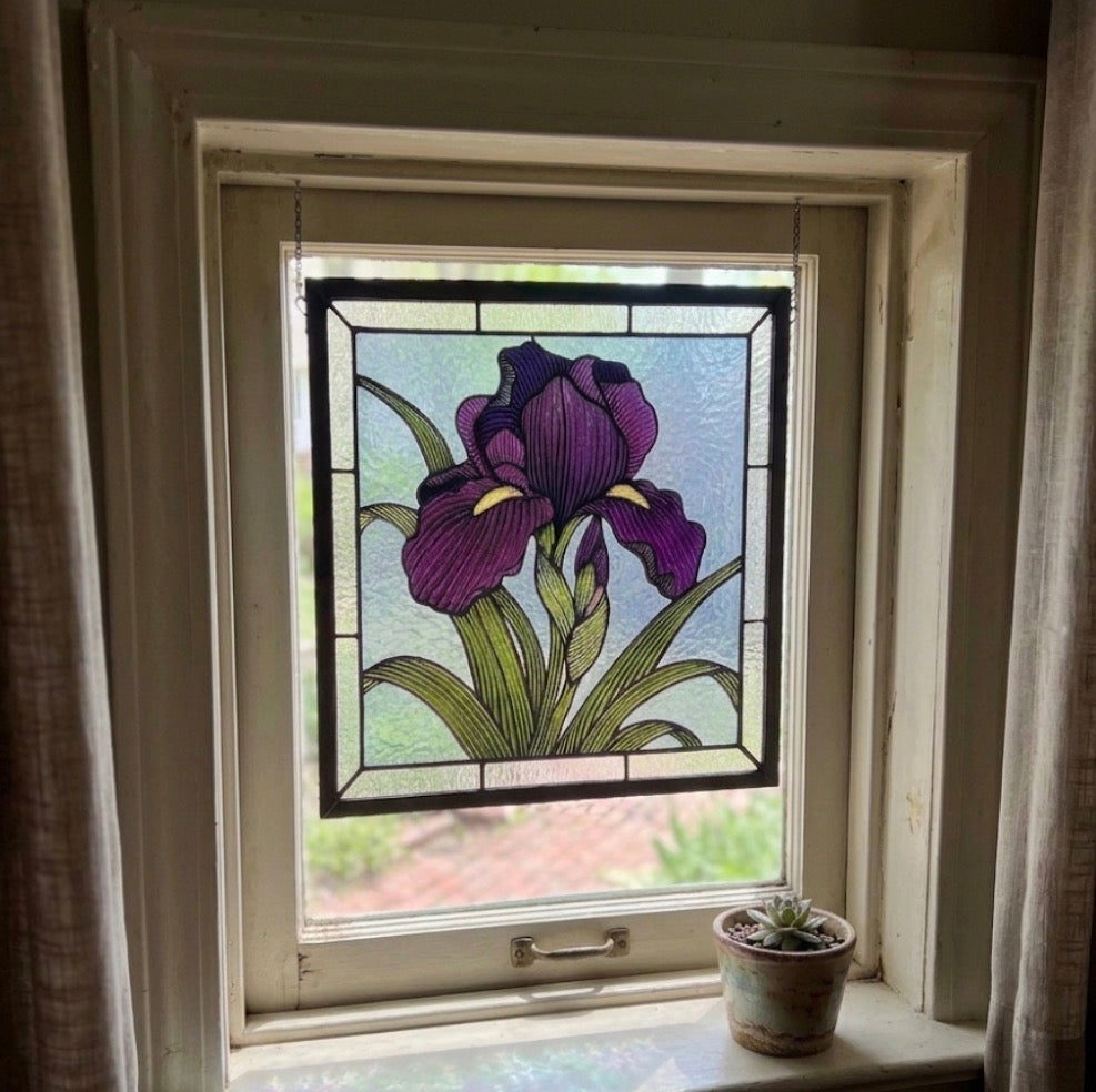 Iris