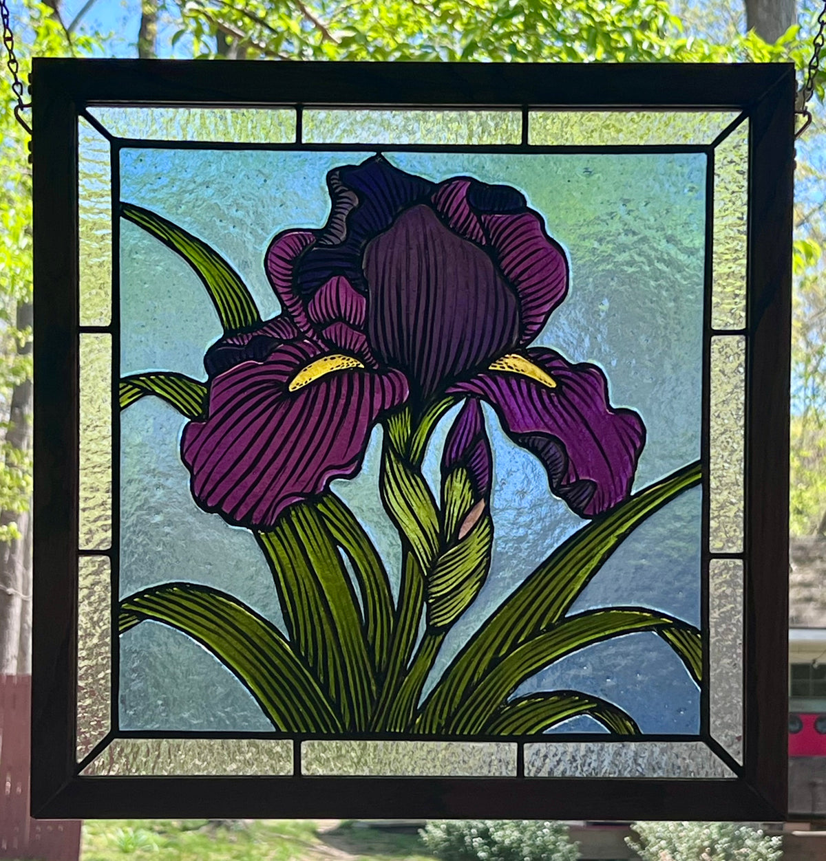 Iris